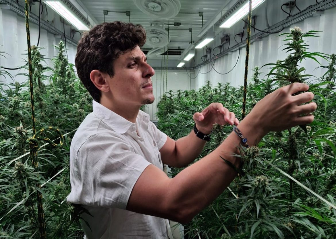 cardo Hazin, diretor-executivo da Aliança Medicinal(Photo: Paulo Emílio/Brasil 247)Paulo Emílio/Brasil 247